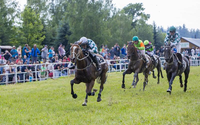 25. ročníku dostihů ve Světlé Hoře, sobota 8. července 2017