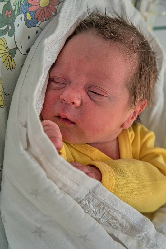 Alex Šejvl, Dětmarovice, narozen 8. ledna 2022 v Karviné, míra 51 cm, váha 3250 g. Foto: Marek Běhan