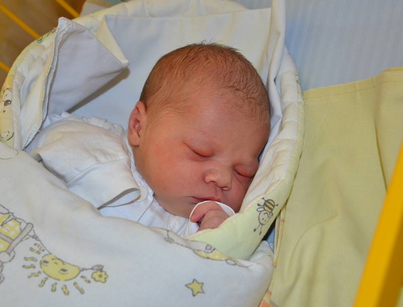 Nelinka Halušková, 22. 12. 2018, 49 cm, 3500 g, Klimkovice. Fakultní nemocnice Ostrava.