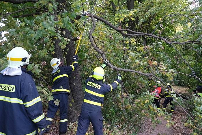 Taktické cvičení zaměřené na likvidaci požáru lesa v těžce přístupném terénu.