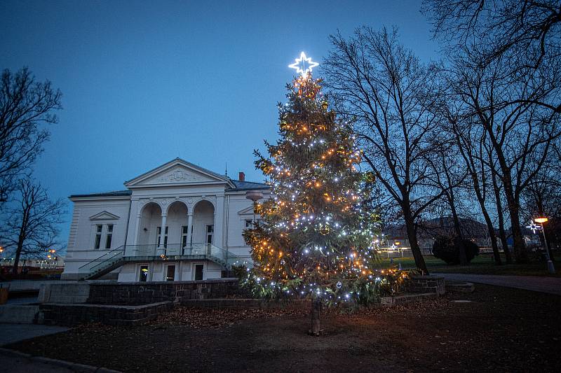 Vánoční strom v Kopřivnici v sadě Dr. Edvarda Beneše, 8. prosince 2020.