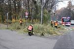 Vrbu, jejíž větve hrozily pádem, ořezávali v úterý dopoledne ostravští hasiči. Zasahovali u křižovatky ulic Plzeňské a U lesa nedaleko radnice v městské části Ostrava-Jih. 