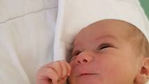 David Dostál, Havířov, narozen 1.listopadu 2021 v Havířově, míra 50 cm, váha 3160 g. Foto : Michaela Blahová