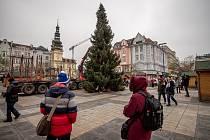 Příjezd vánoční strom na Masarykovo náměstí, 23. listopadu 2022, Ostrava.