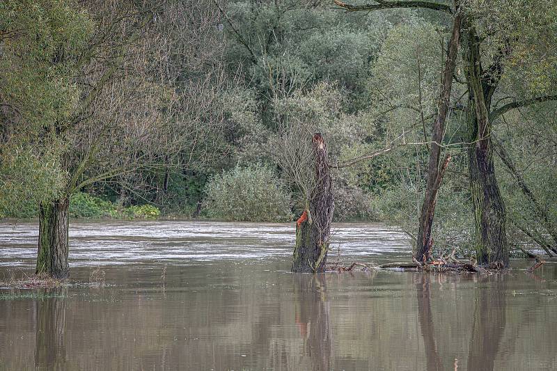 Rozvodněná řeka Odra zatopila část v okolí obce Petřkovic, 15. října 2020.