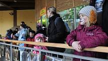 Nová a hezká tradice vznikla v sobotu v ostravské zoo. K množství akcí, které se zde pravidelně konají, přibyla další – masopustní průvod zvířecích masek. Do něj se zapojily desítky dětí, které přišly do zahrady se svými rodiči.