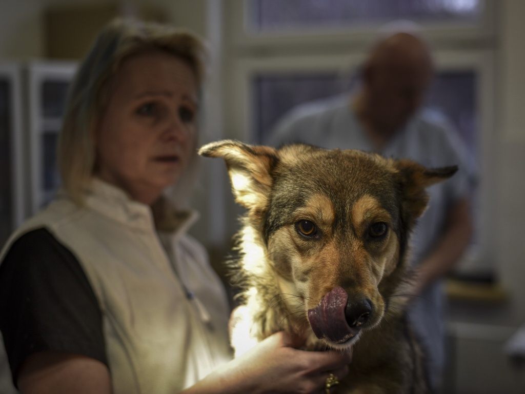 Útulek pro psy pomáhá už dvacet let - Novojičínský deník