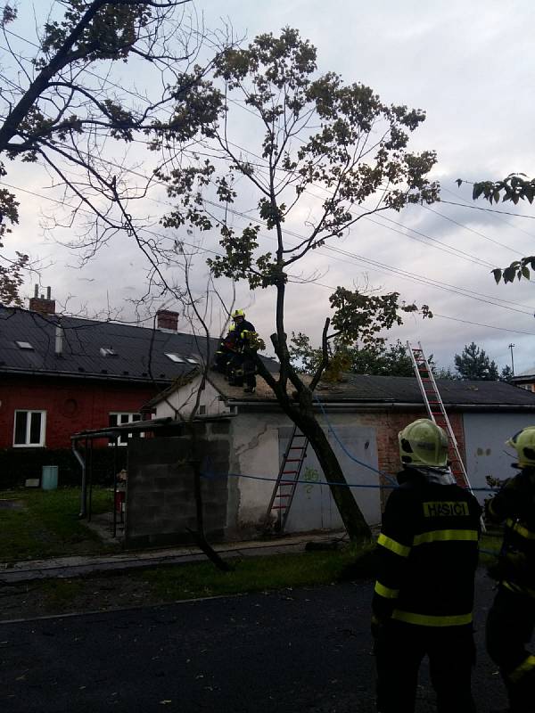 Odstranění nakloněného stromu v Ostravě-Vítkovicích.