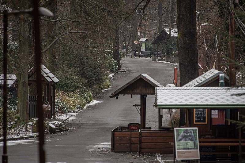 Zoo Ostrava je nadále dle nařízení vlády uzavřená, 6. února 2021 v Ostravě.