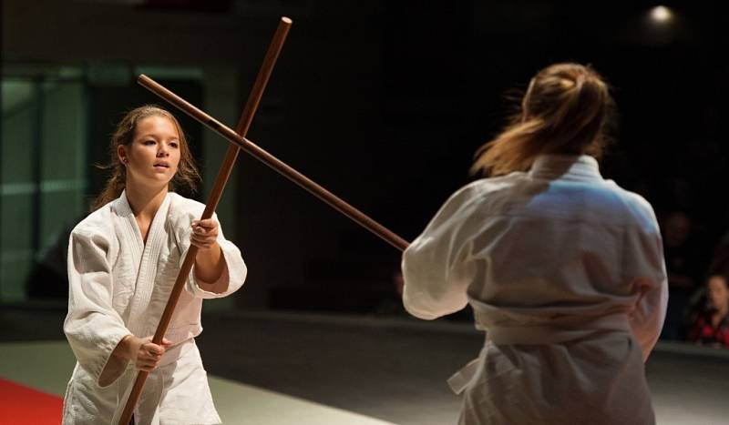 Slavnosti bojových umění, které pořádal oddíl AIKIDO Sportovního klubu Policie Ostrava. 