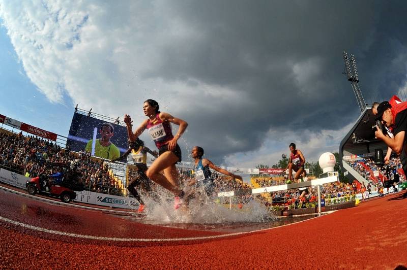 Zlatá tretra Ostrava 2014. 