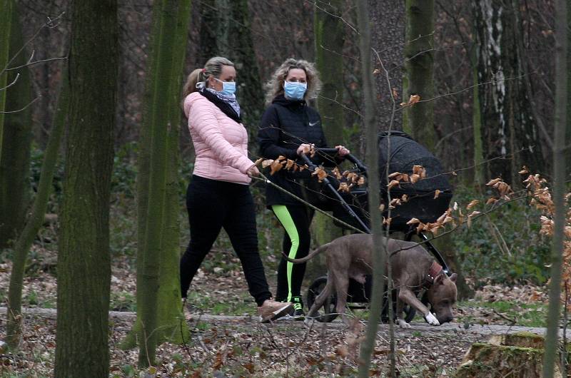 JIH znamená Hrabůvku, Dubinu, Bělský Les, Výškovice a Zábřeh, podívejte se, jaké jsou dopady koronavirové nákazy tady.