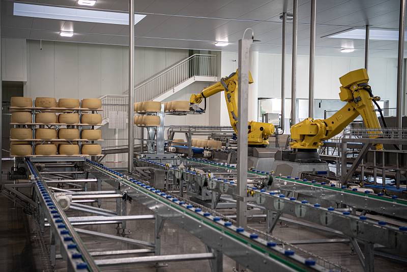 Robotizovaný sklad sklad sýrů společnosti Gran Moravia, 12. srpna 2021 v Cogollo del Cengio v provincii Vicenza, Benátsko, Itálie. Roboti bochníky připravují na dřevěné police, ty následně putují do skladu.