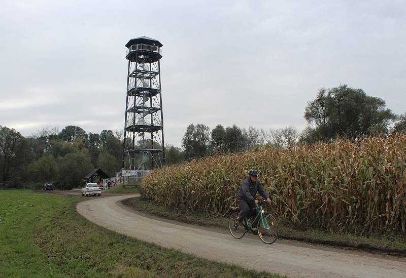 27 metrů vysoká rozhledna se nachází v chráněné oblasti Meandry Odry - v Krzyzanowicích, hraniční obci na polském břehu Odry.