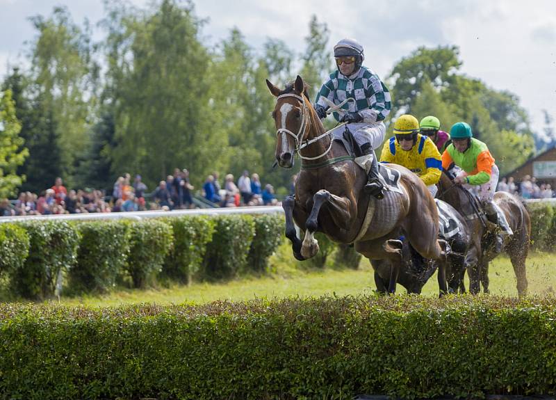 25. ročníku dostihů ve Světlé Hoře, sobota 8. července 2017