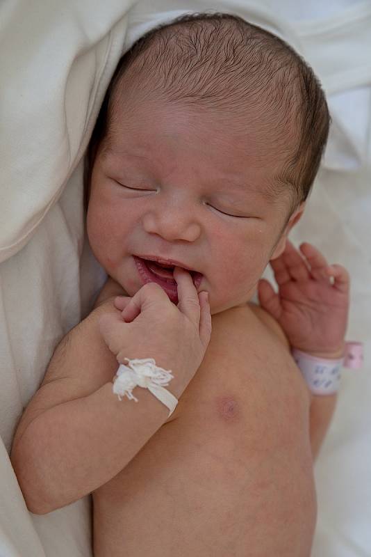 Allison Šamajová z Karviné, narozena 8. července 2021 v Karviné, míra 49 cm, váha 2940 g. Foto: Marek Běhan
