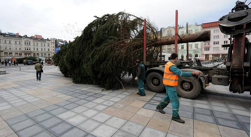 Pracovníci specializované firmy v úterý na Masarykově náměstí v centru Ostravy vztyčili vánoční strom.