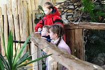 Ondra, Kryštof, Lucie a Julie. Další čtyři děti, kterým v tomto týdnu Deník splnil jejich vánoční přání. Chtěli se podívat do ostravské zoologické zahrady a pozdravit sloní mládě Rashmi.