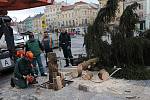 Strom, který navozoval vánoční atmosféru na centrálním ostravském náměstí, v pondělí pracovníci technických služeb poslali k zemi. 