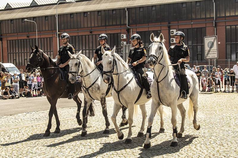 Na Dni policie s majáčkem byla k vidění řada zajímavých ukázek a vystoupení.