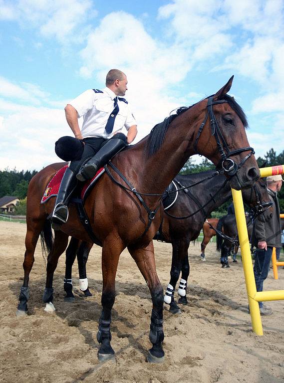 Ve Staré Bělé si daly sraz jízdní poliicie v Česka i ze zahraničí