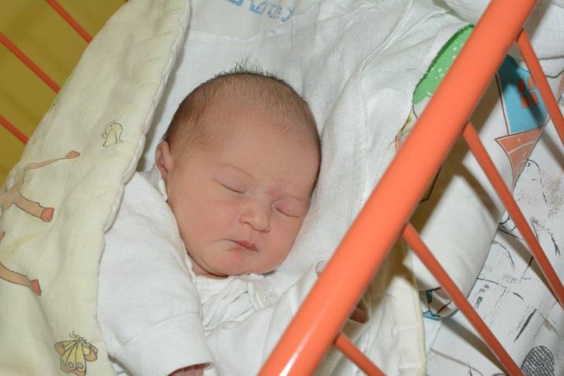 Nella FRÉHAROVÁ, 6. 6. 2017, 49 cm, 2950 g, Moravská Ostrava. Městská nemocnice Ostrava. 