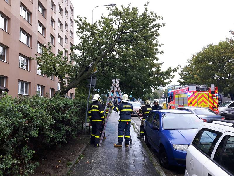 Zásah hasičů na sídlišti Dubina, kde se strom opřel o dopravní značku. 