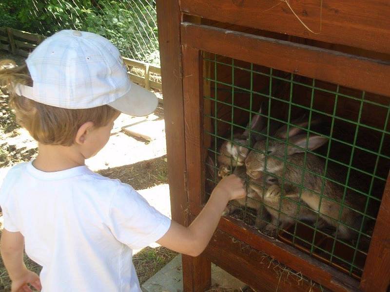 Školička na farmě: děti si užijí pečování o zvířata i rostliny