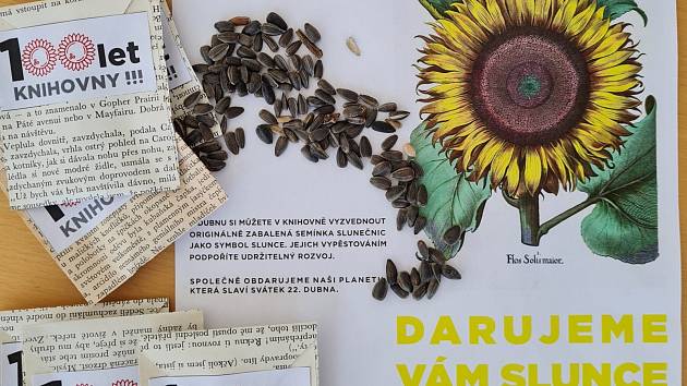 Knihovna rozdá semínka slunečnic