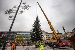 Příjezd vánočního stromu na Masarykovo náměstí, 22. listopadu 2023, Ostrava.