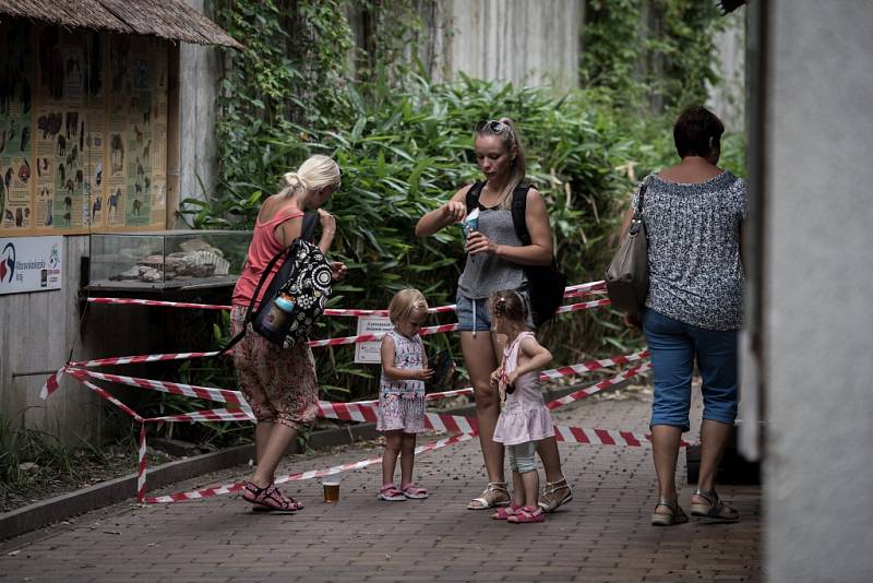 Pavilon slonů v ostravské ZOO. 