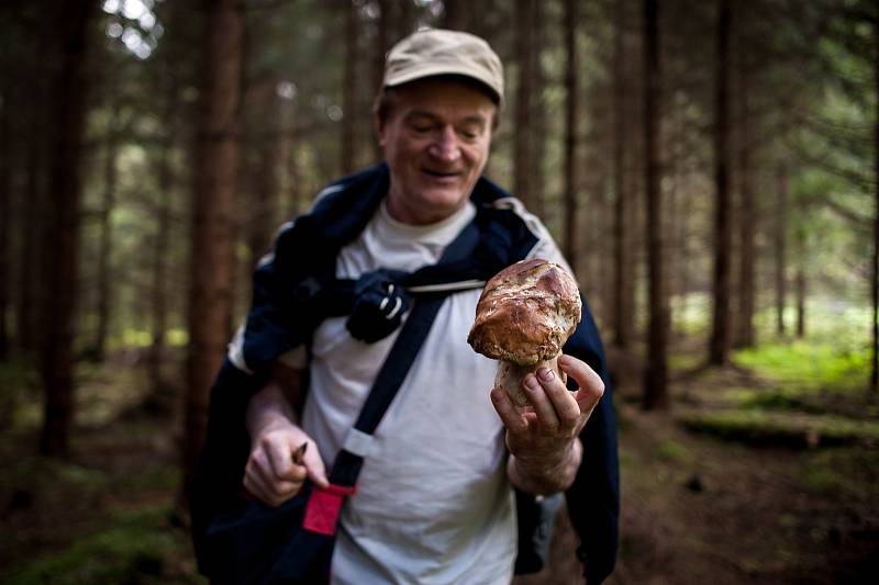 Houbaři ve Starých Hamrech, snímek z 28. září 2017.