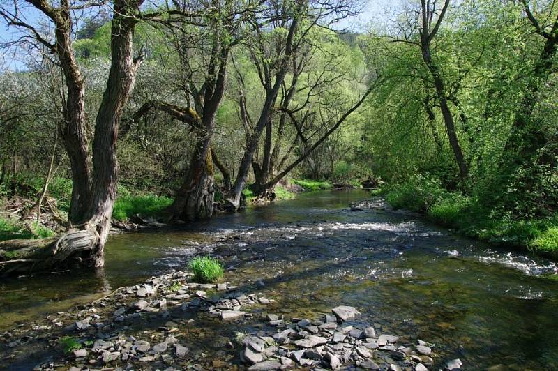 Od pramene protéká Odra až k ústí Budišovky (km 97,4 – po toku) na 15 km vojenským újezdem Libavá, koryto toku je vesměs nedotčeno jakoukoliv civilizací