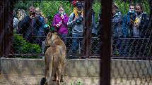 Zoologická zahrada Ostrava, poslední květnový víkend.