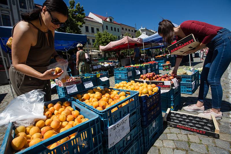 Ekologické nakupování nejen domácích produktů do vlastních přinesených tašek a obalů si získává stále větší popularitu na trzích i v kamenných obchodech v celém Česku. Ilustrační fotografie.