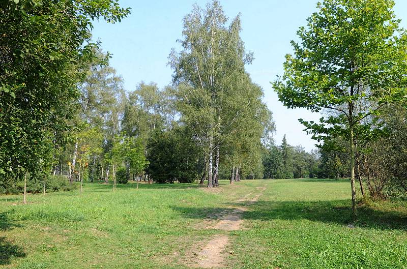 NOVÝ SPORTOVNĚ-VZDĚLÁVACÍ AREÁL vznikne v Bělském lese na místě bývalých kasáren.