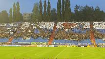 Stadion Bazaly