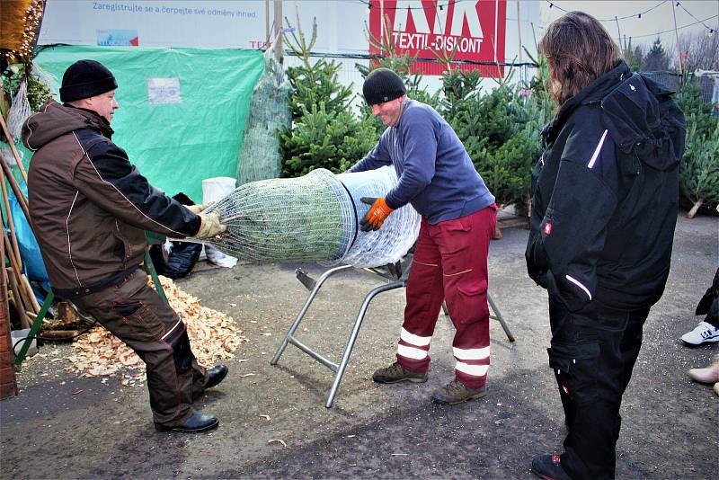 Prodej vánočních stromků v Ostravě, obchodní centrum, Tesco Extra, Hrabová, Ostrava, 3. 12. 2022