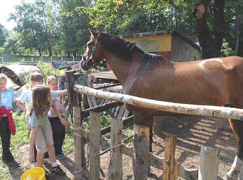 Děti a koně na táboře ve Slezské Ostravě