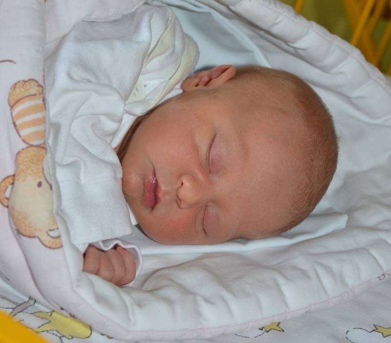 Natálie Nachmilnerová, 10. 1. 2016, 2780 g, 46 cm, Odry