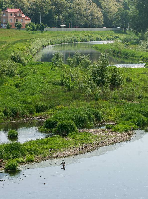 Nízký stav vody v řece Ostravici.