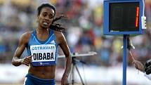 Zlatá tretra Ostrava 2014. Genzebe Dibaba.