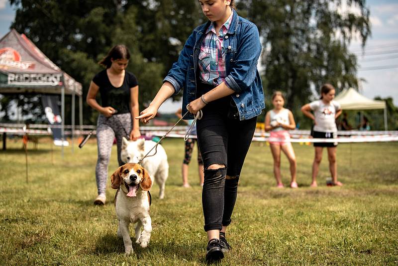 Voříškiáda ,,Petřvaldský čumáček 2020". 27.6.2020 v Petřvaldě.