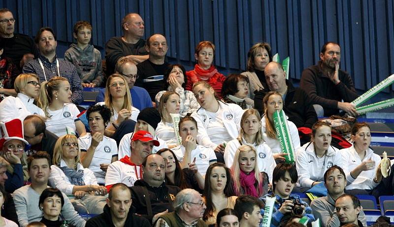 Davis Cup v Ostravě.