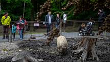 Zoologická zahrada Ostrava, poslední květnový víkend.