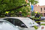 Krátké prudké deště a vítr škodily v Moravskoslezském kraji, zásahy hasičů, pátek 1. července 2022.