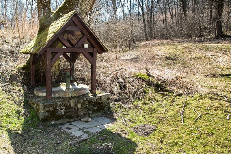 Okolí Ždánického lesa a zaniklé středověké vesnice Konůvky působí tajemně i přitažlivě.