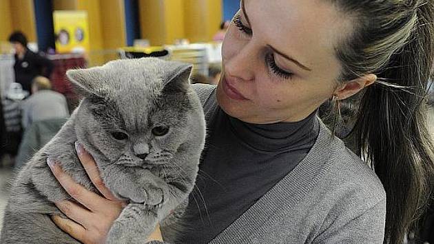 Kočky bez srsti: ocení je nejen alergici - Moravskoslezský deník