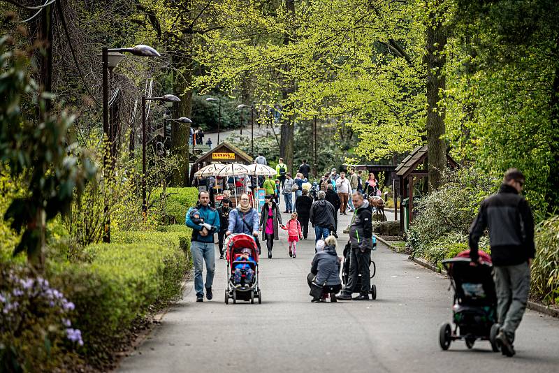 Zoologická zahrada Ostrava. 8. května 2021.