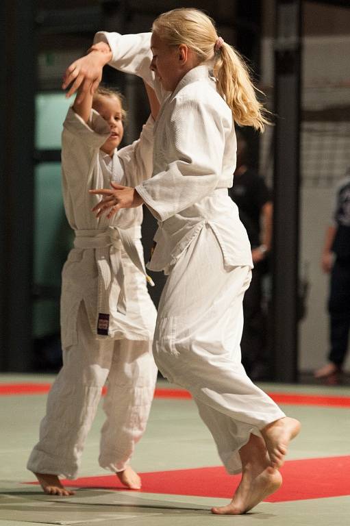 Slavnosti bojových umění, které pořádal oddíl AIKIDO Sportovního klubu Policie Ostrava. 